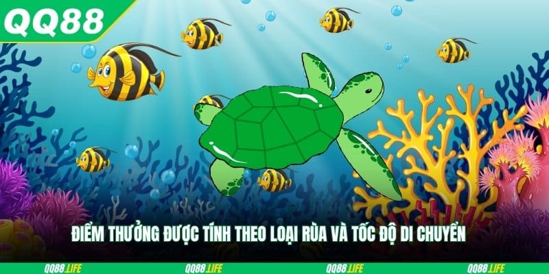 Điểm thưởng được tính theo loại rùa và tốc độ di chuyển