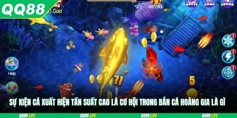 Sự kiện cá xuất hiện tần suất cao là cơ hội trong Bắn cá hoàng gia là gì